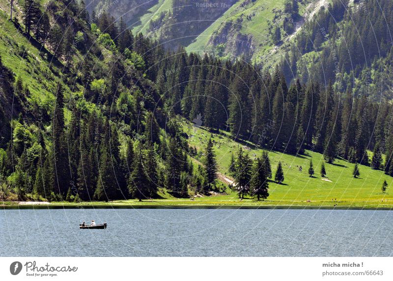 Fishing and fishing Lake Cold Green Fishing (Angle) Calm Loneliness Forest Meadow Fir tree Watercraft Motorboat Summer Mountain Blue Valley Stone Rock
