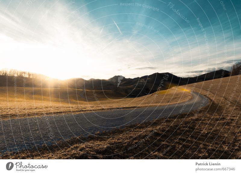 Swiss Jura Environment Nature Landscape Sky Clouds Sun Sunrise Sunset Sunlight Summer Climate Weather Beautiful weather Plant Tree Forest Alps Esthetic