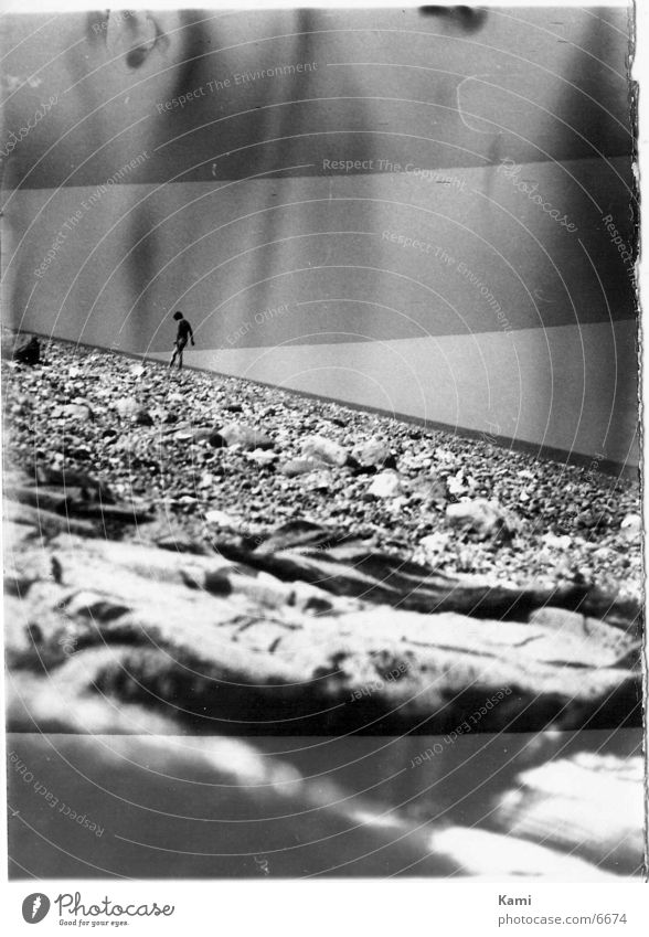 stony beach Beach Photographic technology Structures and shapes Stone Black & white photo