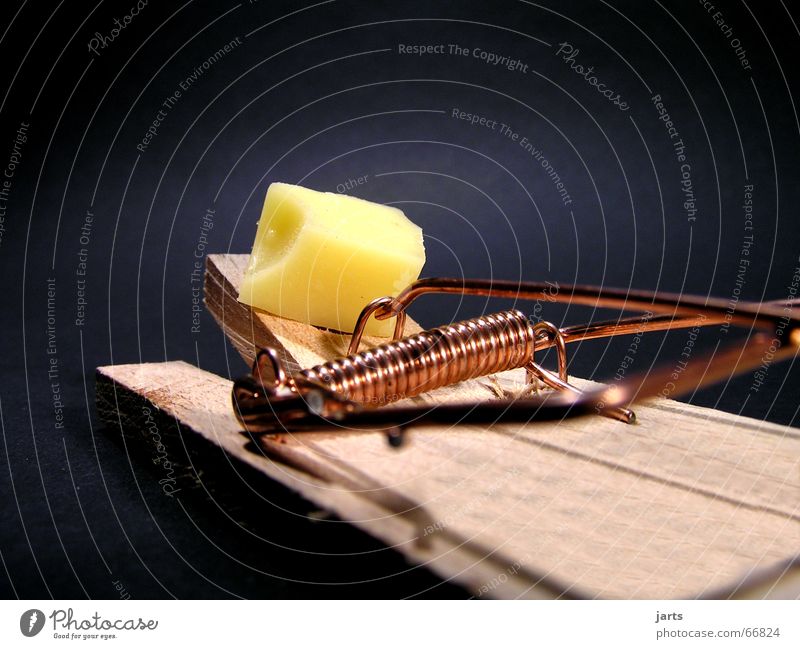 Big Mousetrap Stock Photos - Free & Royalty-Free Stock Photos from