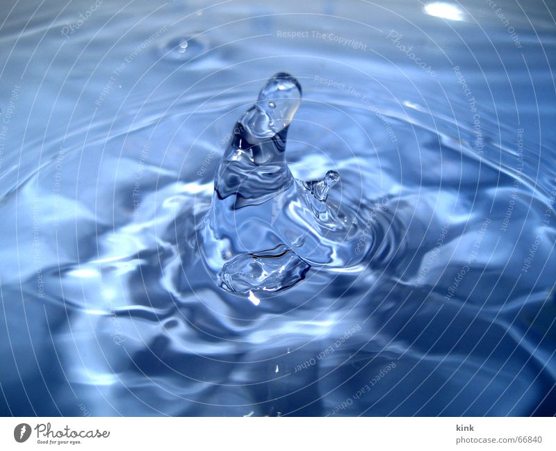 A brief moment II Wet Cold Macro (Extreme close-up) Snapshot Water Drops of water Blue Clarity Refreshment