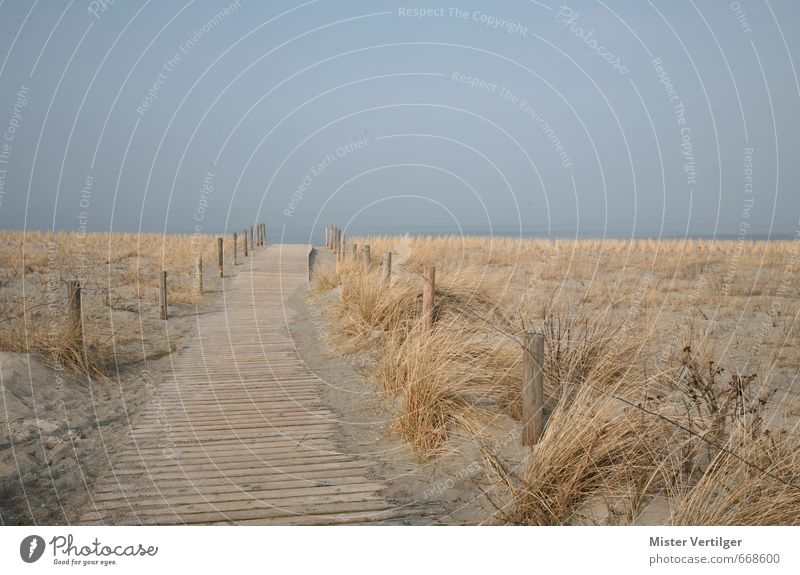 dune Nature Landscape Sand Water Sky Horizon Spring Autumn Fog Grass Waves Coast Beach Baltic Sea Ocean Port City Deserted Discover Relaxation Walking Dream