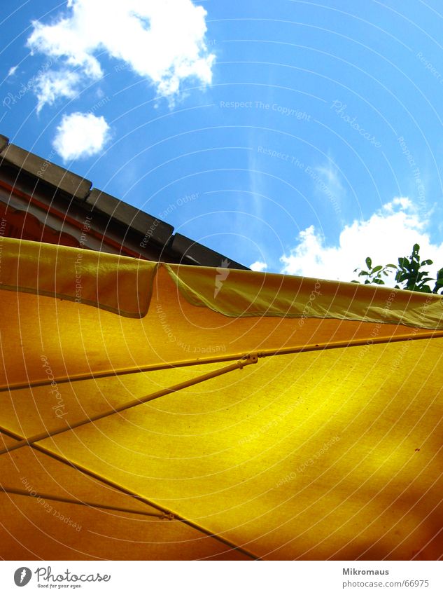 Look up there. Summer Sun Sunshade Clouds Sky Blue Yellow Relaxation Vacation & Travel Break Above Sun sail Weather protection Protection Garden