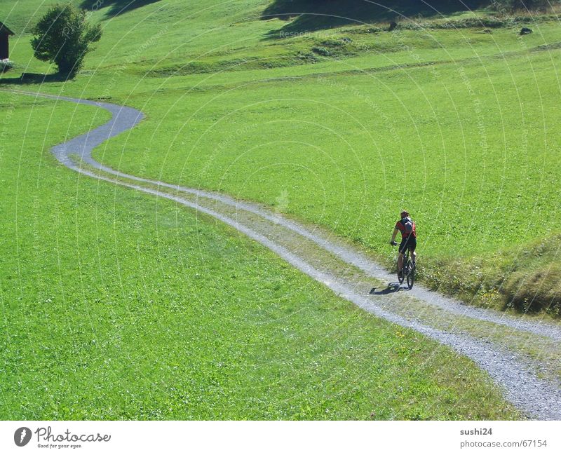 finally free Meadow Calm Loneliness Footpath Slowly Peace Relaxation Vacation & Travel Wide angle biking mountain mountainbike switzerland Alps Lanes & trails