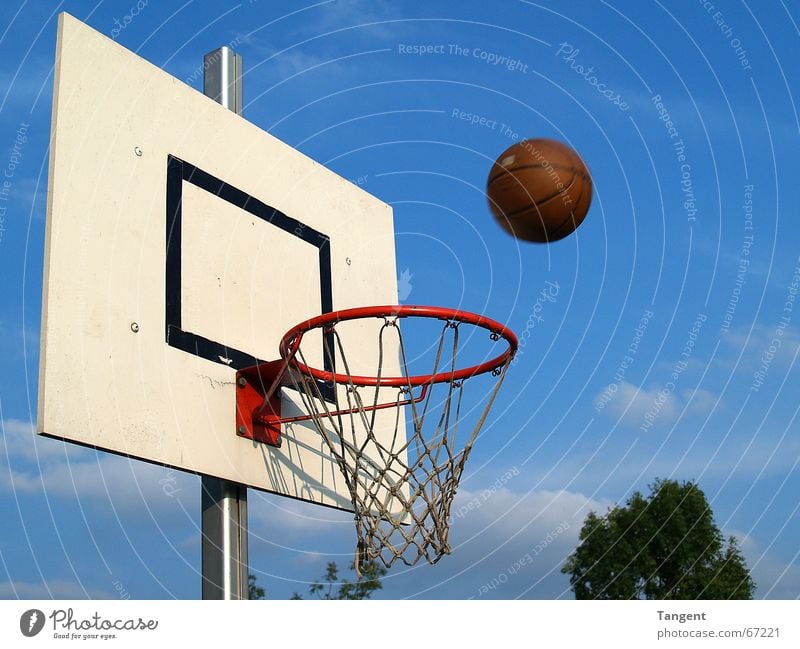 Der ist drin! oder? Sports Ball sports Sporting event Sky Net Movement Flying Throw Success Target Basket Strike Basketball Exterior shot Deserted
