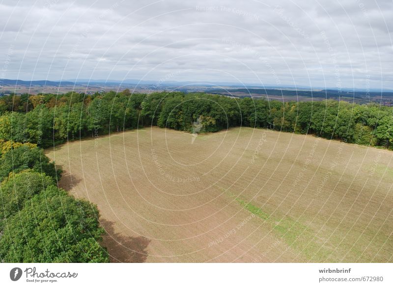 Forest and meadow...... Tourism Far-off places Summer Hiking Environment Nature Landscape Clouds Horizon Beautiful weather Tree Field Infinity Idyll