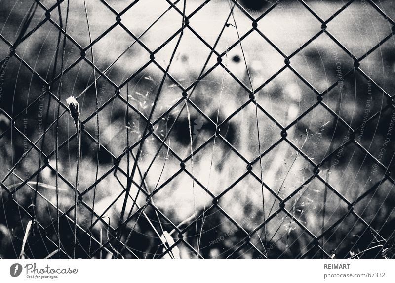 seven Fence Black White Thought Captured Catch Garden Emotions Think grass Loneliness