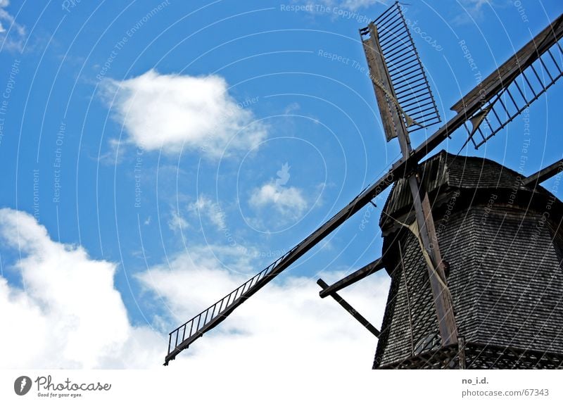 In memory of Don Quixote Mill Windmill Historic Wood Mince Old times Craft (trade) Exterior shot Rotate Potsdam past time Sky don quichotte Fight