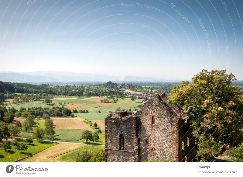 country Tourism Trip Far-off places Nature Cloudless sky Horizon Summer Beautiful weather Meadow Field Castle Ruin Relaxation Baden-Wuerttemberg Summery Rural