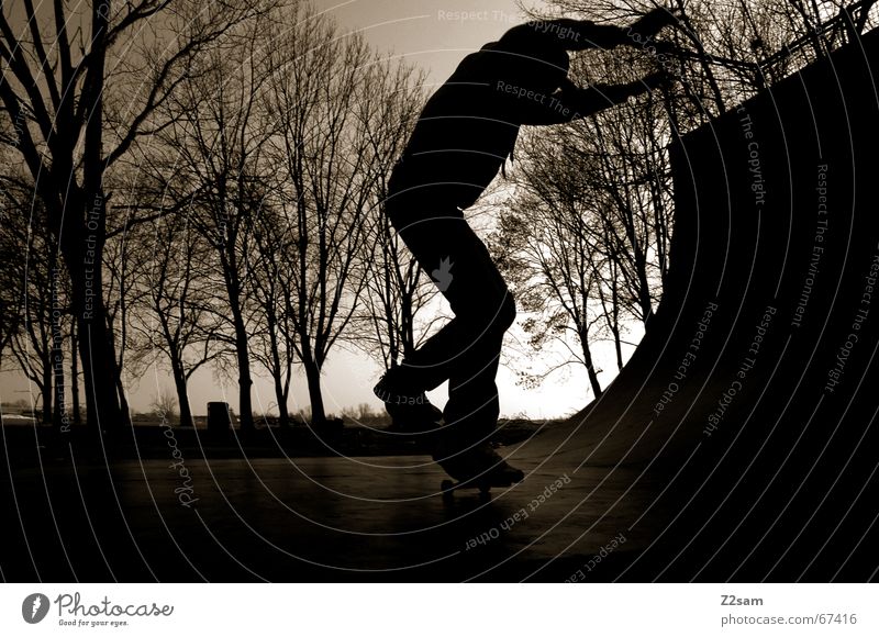 moonlight_nosewheelie Skateboarding Halfpipe Night Twilight Back-light Ramp Sports Contentment Evening Shadow Wooden board Funsport