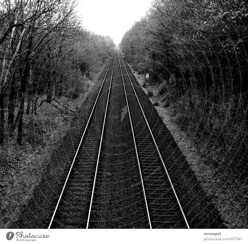 railway Railroad tracks Medium format Transport railway tracks Black & white photo nowhere Line