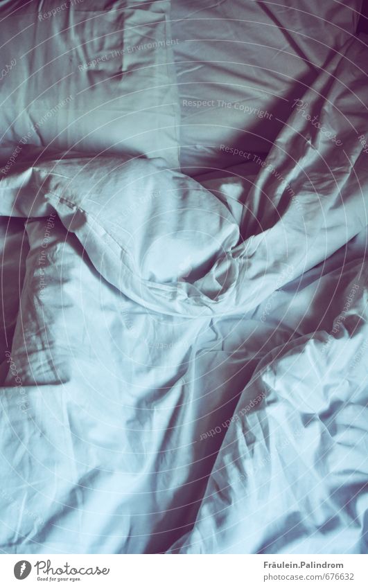 empty bed with white bedding Dream house Sleep Bed Bedclothes Sheet White Innocent Hotel Chaos Untidy Housekeeping Rest Muddled Relaxation Cloth Wrinkle