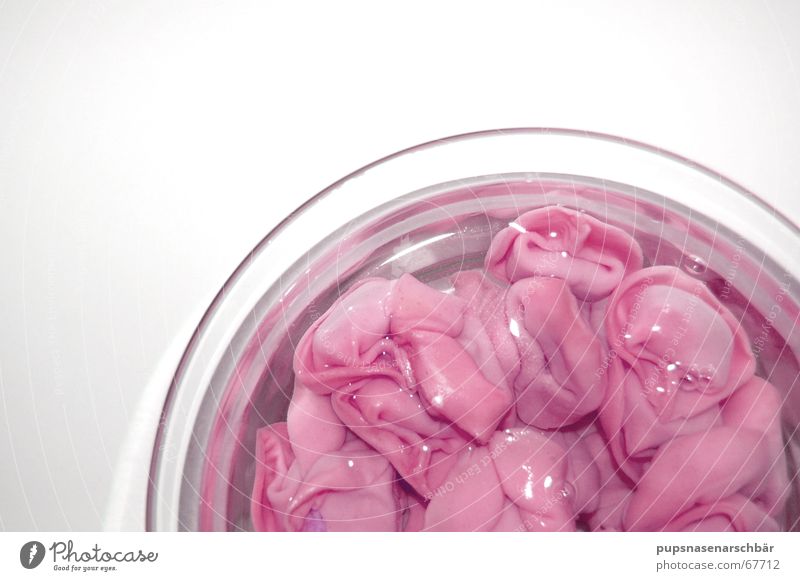 Tortellini á la Mirkowelle -for girls Noodles Midday Cooking Microwave Pink Nutrition Appetite Water Float in the water