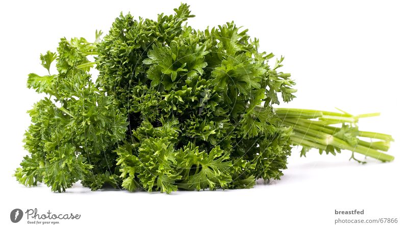 parsley Parsley Green Kitchen Herbs and spices Lunch Delicious Healthy Nutrition