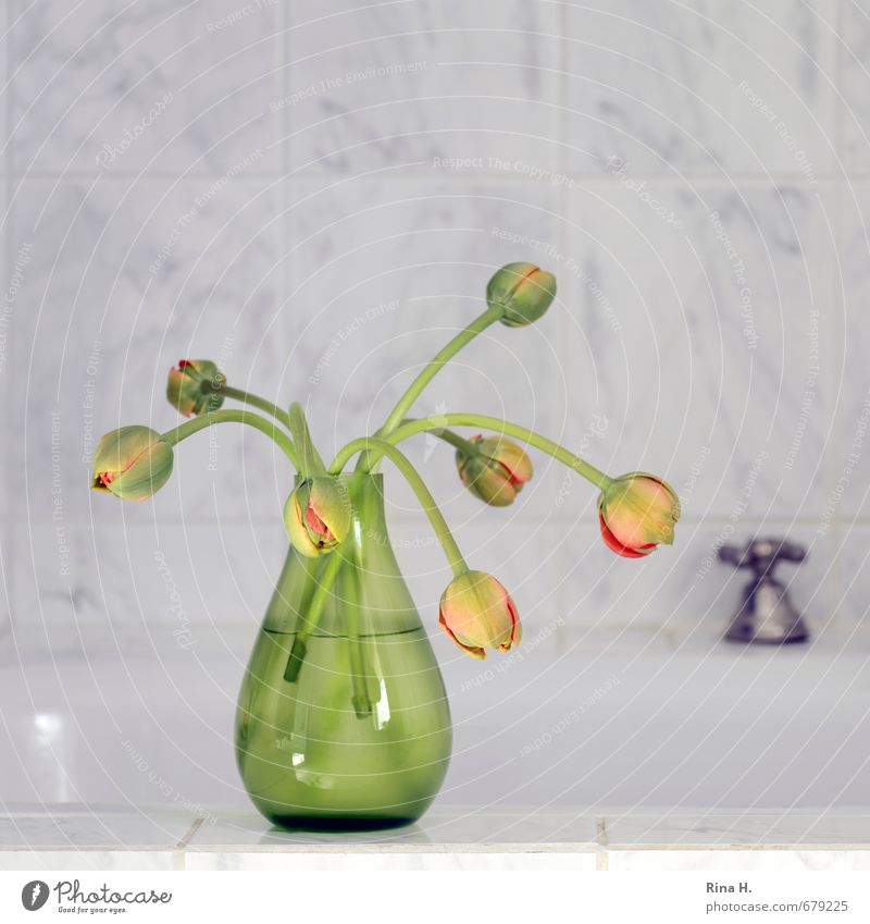 in the bath Living or residing Bathtub Bathroom Tulip Blossoming Yellow Gray Green Bud glass vase Vase Tap Tile Colour photo Interior shot Deserted