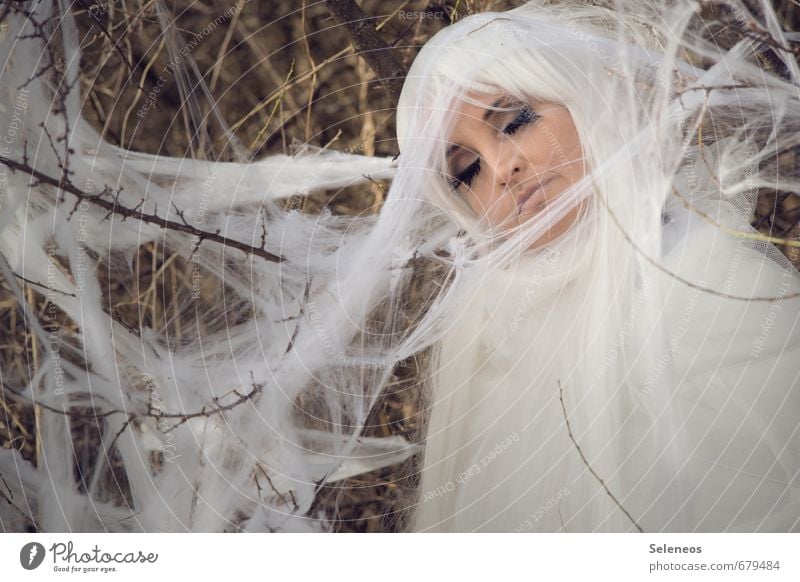 sleeping moth Feminine Woman Adults Face 1 Human being Environment Nature Spring Bushes Hair and hairstyles White-haired Long-haired Wig Animal Moth Cocoon