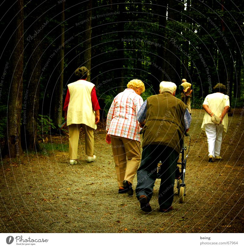 Wednesdays we always go to feed ducks. Walking aid Senior citizen To go for a walk Trip Short vacation Widow Wait Going Goodbye Osteoarthritis Retirement Resume