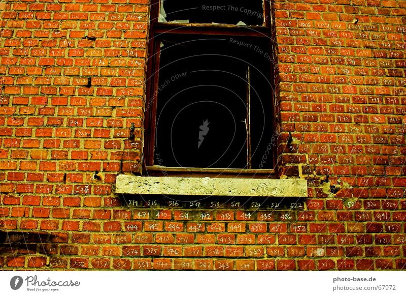 How many days do I have to wait Typography Brick Red Window Brick red Penitentiary