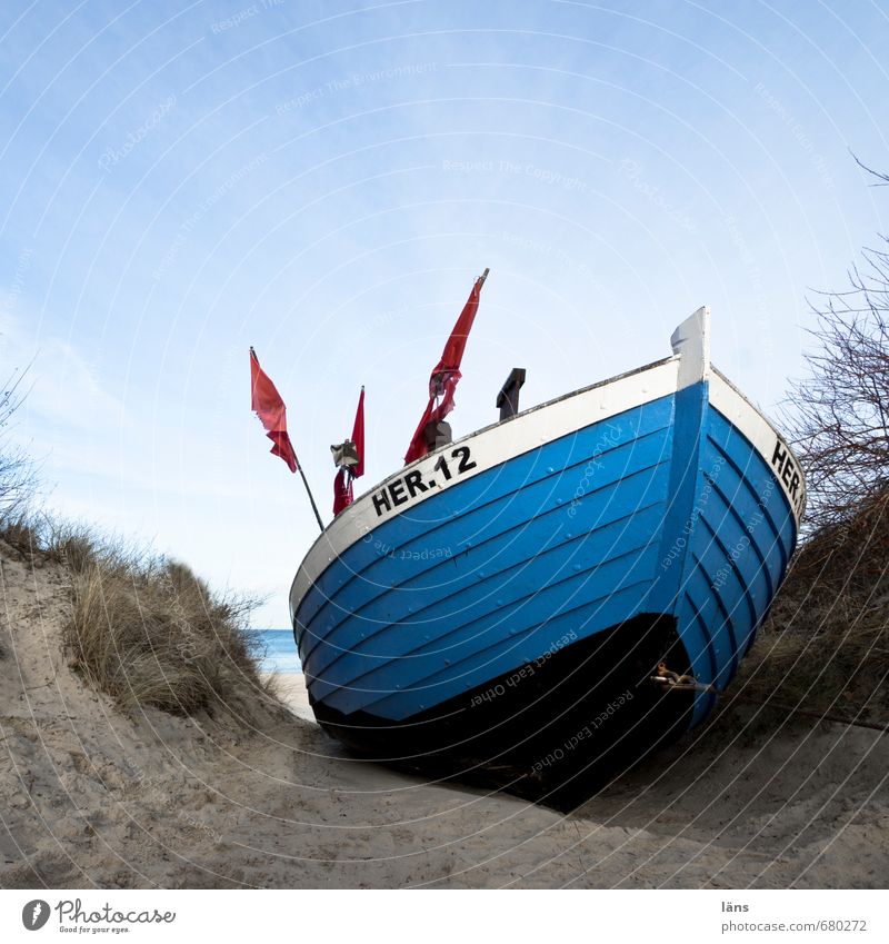 ahoy Work and employment Fisherman Fishery Environment Nature Landscape Sand Water Sky Coast Baltic Sea Fishing boat Lie Blue Brown Beach dune Colour photo