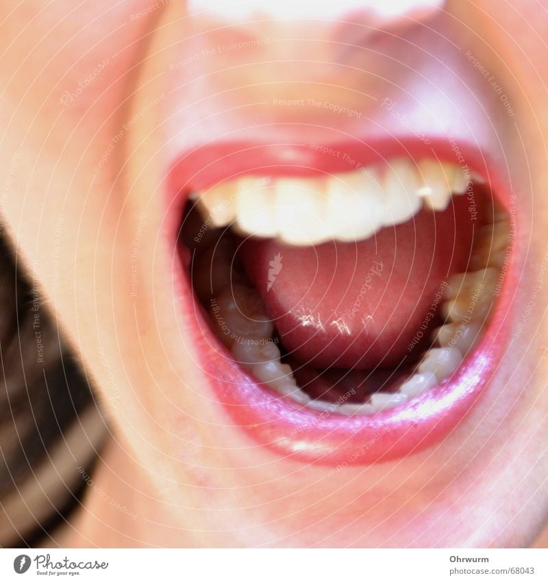 Say A Anger Loud Lips Glittering Red Lipstick White Woman Sing Distress Aggression Interior shot Obstinate Dentist Scream Aggravation Healthy Face Laughter