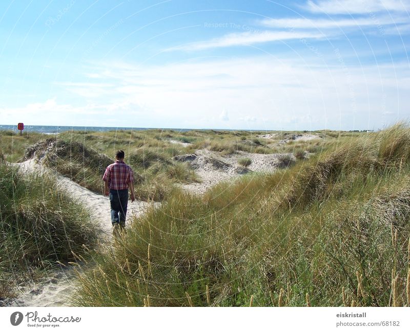 Danish beach Clouds Man Grass Sandy beach Ocean Denmark Sky Blue sky Beach dune Landscape