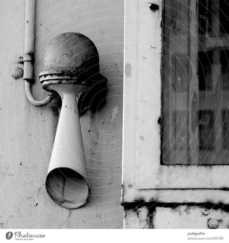 sound Horn Loud Window Reflection Black White Antlers Respect Signal Old Shabby