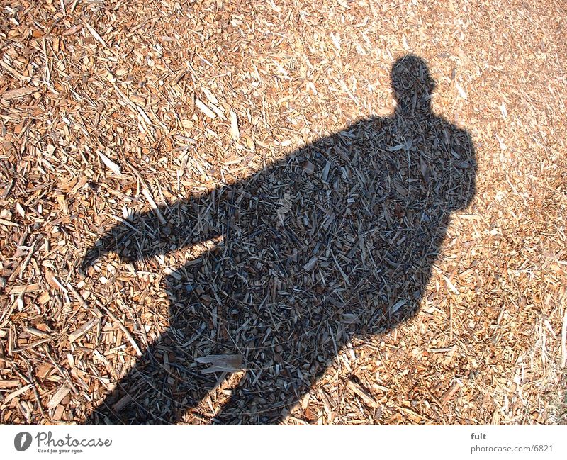 shadow Wood Man Human being Shadow Lanes & trails