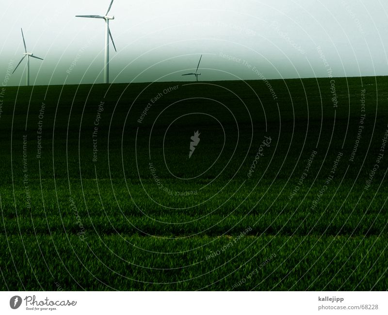 three musketeers Propeller Wind energy plant Electricity Grass May 3 Landscape Lawn Sky Technology Gastronomy Work and employment kallejipp Image editing