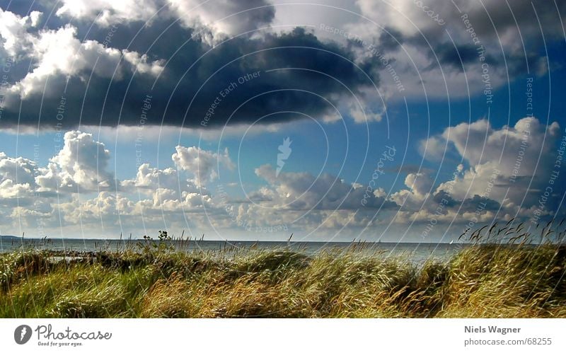 Quickly away before it rains Clouds Ocean Beach Grass Horizon Sailing Rain Water Beach dune Sky Blue