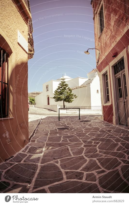 Mediterranean scene with exotic conifer tree Vacation & Travel Summer vacation Environment Cloudless sky Climate Beautiful weather Tree Coniferous trees Greece