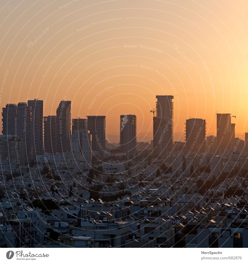 Boker tov, Tel Aviv Sky Cloudless sky Beautiful weather Israel Town Downtown Skyline House (Residential Structure) High-rise Architecture Facade Balcony Roof