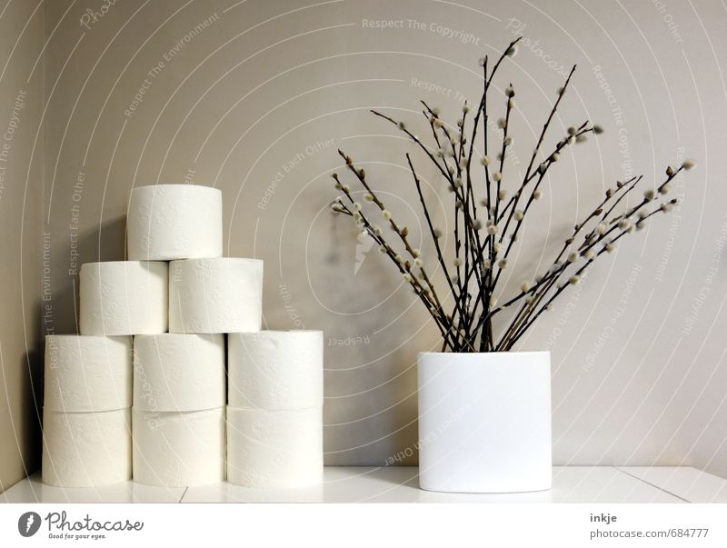 Stock I Style Living or residing Decoration Bathroom Spring Catkin Branch Deserted Wall (barrier) Wall (building) Toilet paper Bouquet Vase Growth Bright Clean