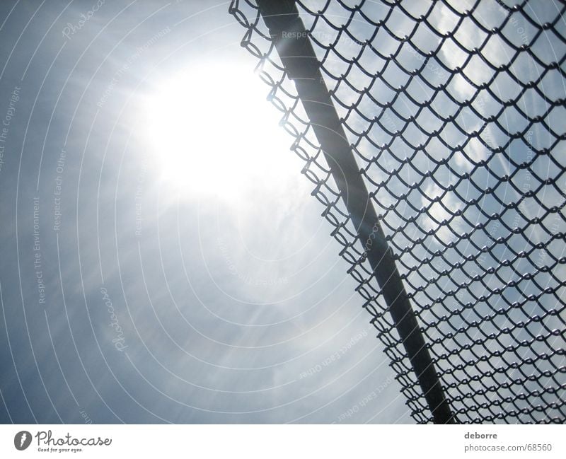 Looking up at the sun and blue sky through a chain link fence. Fence Wire netting Wire netting fence Border White Sun Sky Level Tall Divide Blue