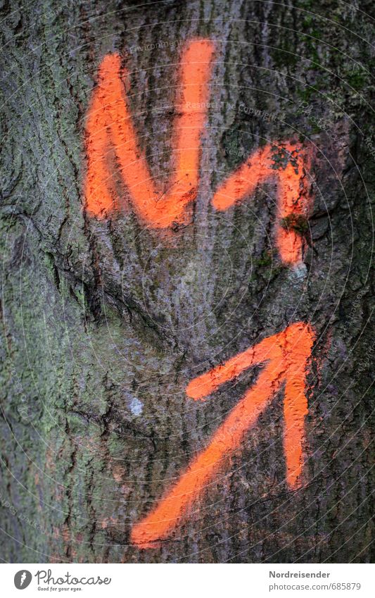...and high.... Agriculture Forestry Tree Sign Characters Digits and numbers Signs and labeling Orange Puzzle Arrow Trend-setting Upward Number one Success