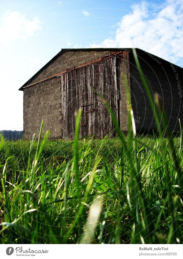 timidity Barn Grass Green Farm Light Field Clouds Sliding gate Roof Wall (barrier) Sky Blue Landscape Graffiti Sun Warehouse