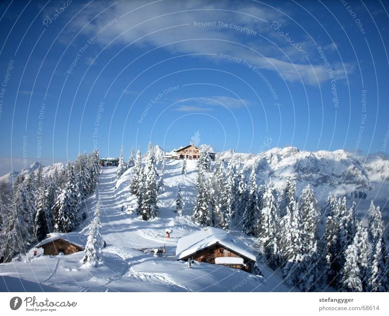 winter landscape Forest Peak Winter Austria Federal State of Styria Clouds Vacation & Travel Snow Mountain Sky Hut reed moss hochwurzen Alps Idyll Alpine hut