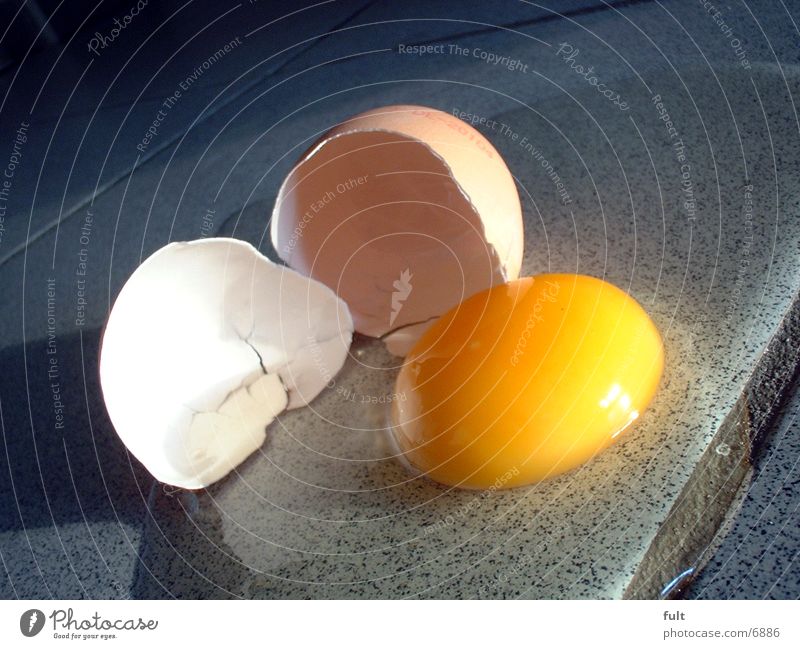 egg Yolk Egg Bowl Tile Floor covering
