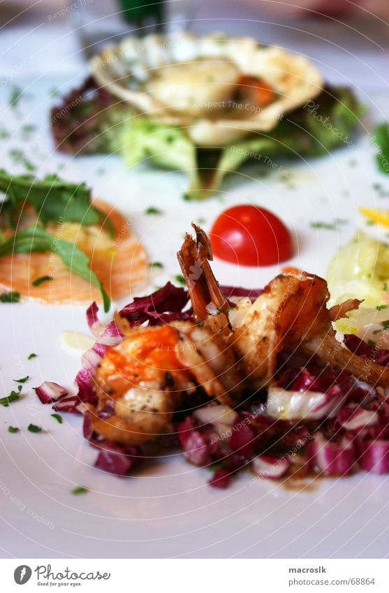 Italian seafood plate Salmon Shrimps Seafood Mussel Sauce Salad leaf Fresh Green Kitchen Plate Restaurant Healthy Life Meal Close-up Nutrition Blur