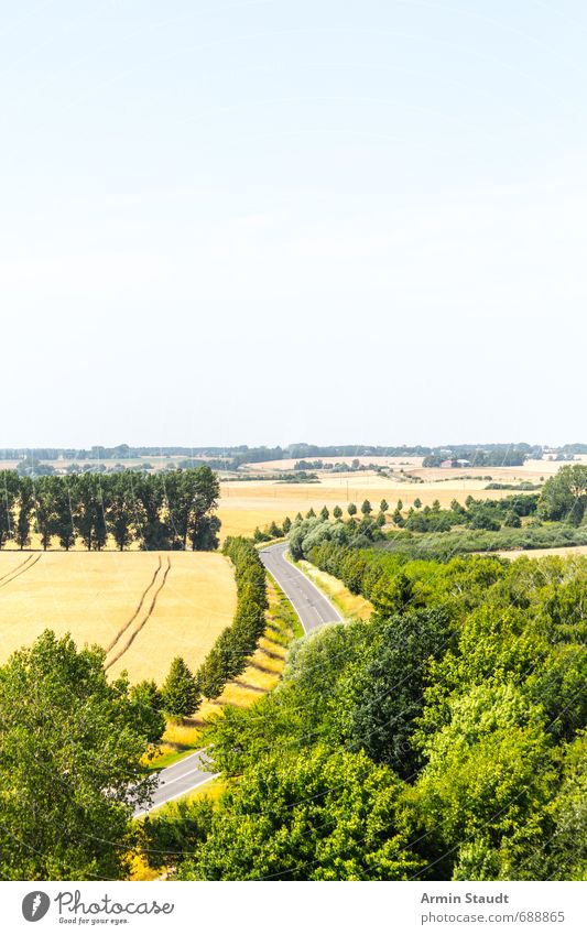 Landscape with road Vacation & Travel Environment Nature Plant Cloudless sky Summer Beautiful weather Field Forest Mecklenburg-Western Pomerania