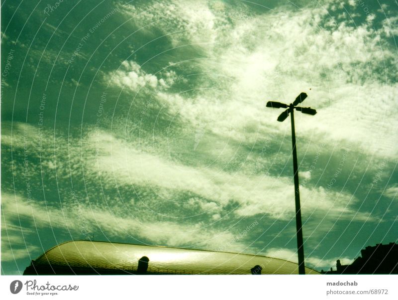 UNDERWATER WITH MOBY DICK | sky sky heaven clouds Clouds Sky Lantern Budapest Underwater photo Plant Animal Bottom of the sea Street lighting Partially visible