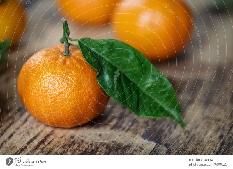 Fresh mandarins Food Fruit Orange Organic produce Vegetarian diet Diet Leaf Natural Juicy Beautiful Many Green Happiness Purity Colour Pure madnarine clemetine