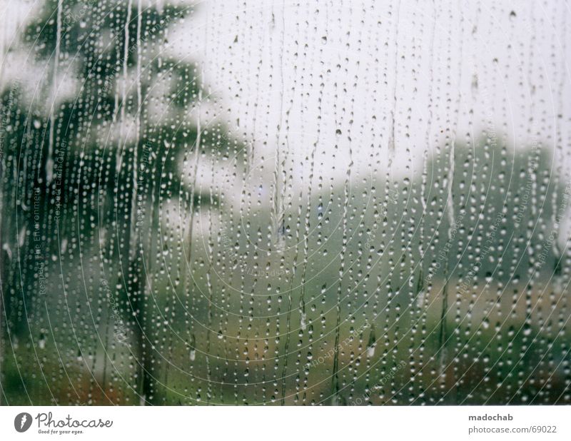 RAIN WITH US Bad weather Tree Vista Grief Gloomy Thunder and lightning Distress Rain Window pane Weather Precipitation stay at home Blur madochab