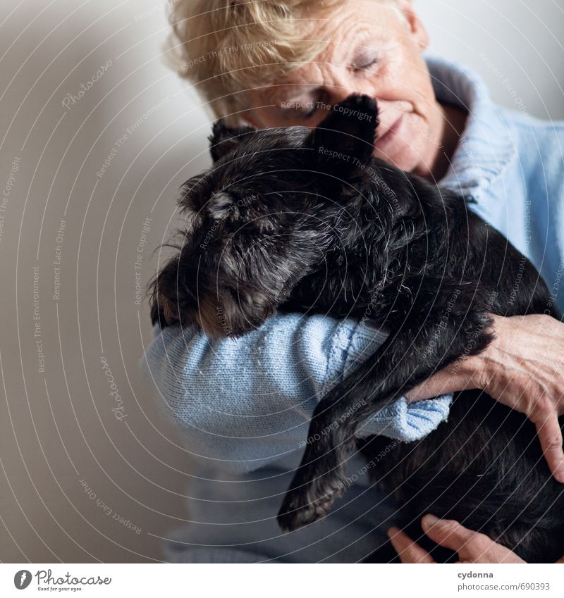 love of animals Harmonious Human being Female senior Woman Friendship Senior citizen Life 45 - 60 years Adults Animal Dog Relationship Emotions Communicate Love