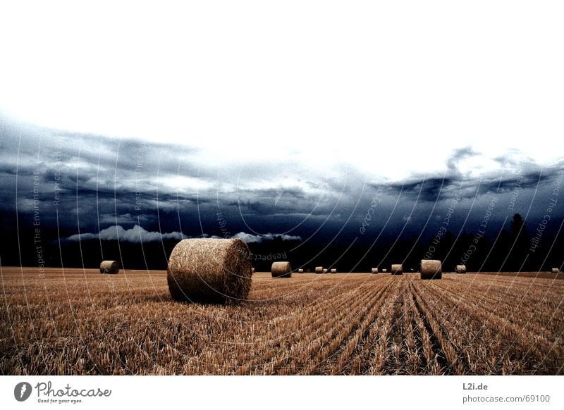 HATE IS THE HARVEST Clouds Field Straw Hay bale Bale of straw Round Yellow Sky Go under Apocalypse Summer Autumn Seasons Creepy Nature Grain Harvest Blue Shadow