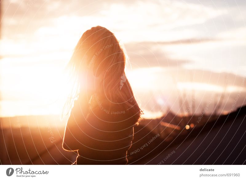Head in the sundown Feminine Young woman Youth (Young adults) Hair and hairstyles Hand 1 Human being 18 - 30 years Adults Sky Clouds Sun Building Roof Blonde