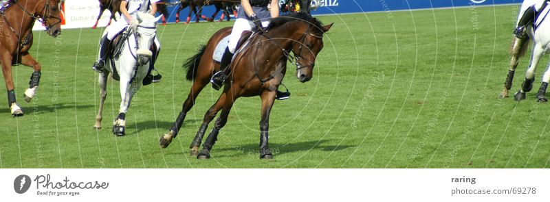 slanting position World Cup Horse Aachen world Equestrian Games Equestrian sports opening ceremony Movement Sports