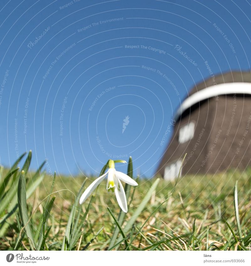 Something's spinning. Windmill Snowdrop Meadow Sky Deserted Blue Green