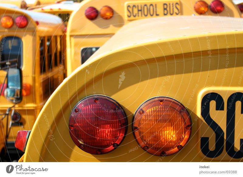 Jump The Bus School bus Brake light Yellow Americas Rear light USA high school Student Logistics transportation pupil