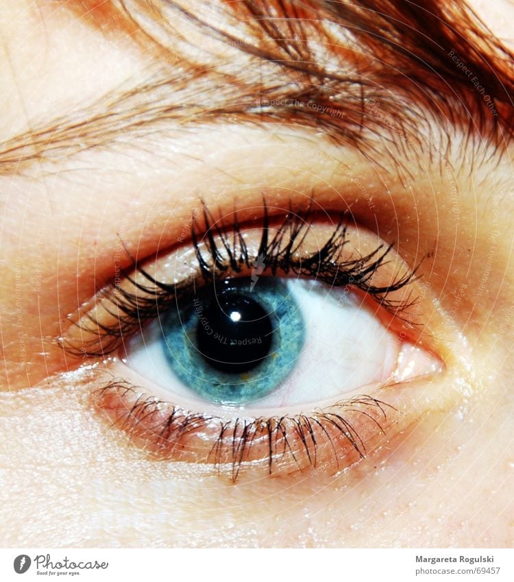 Can this eye lie?? Eyebrow Eyelash Pupil Eyes Blue Hair and hairstyles Iris Detail