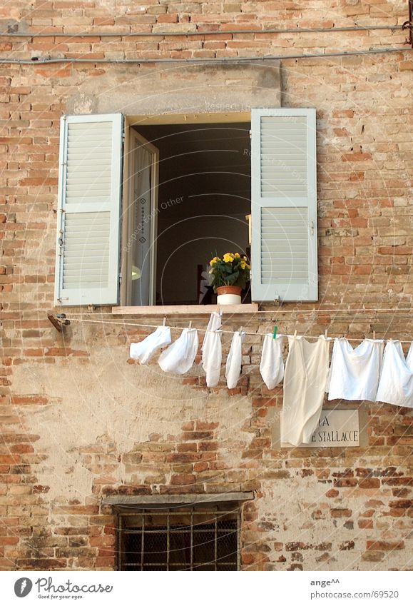 Beautiful Italy Window Laundry Clothesline Flower House (Residential Structure) Town Cozy City life open window old house old masonry